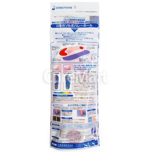 DSIS ソルボ バレーボール