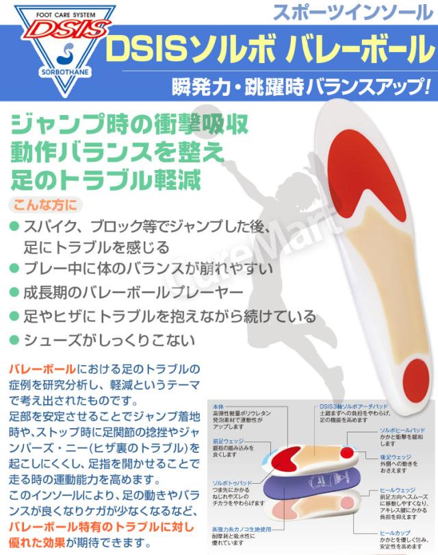 DSIS ソルボ バレーボール