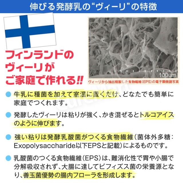 ヴィーリ Viili (フィンランド式ヨーグルト)