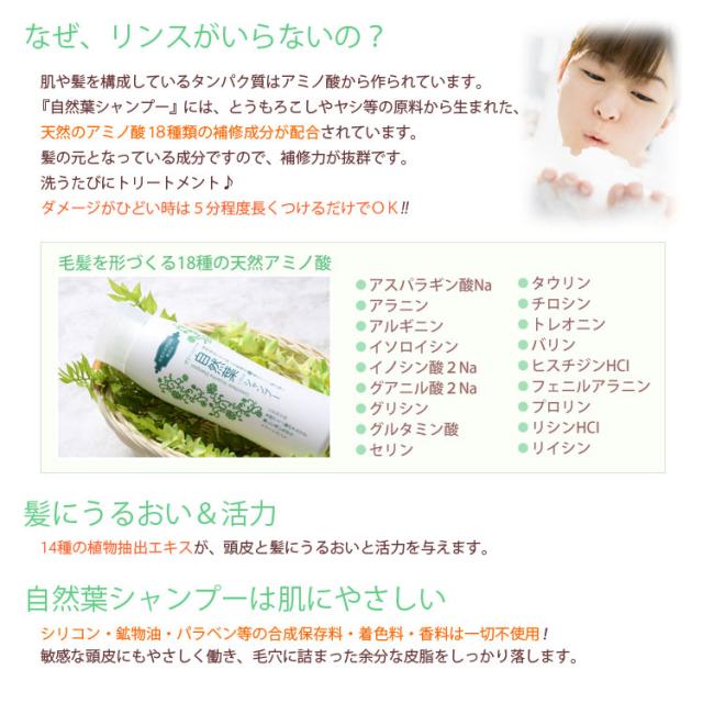 グリーンノート 自然葉シャンプー