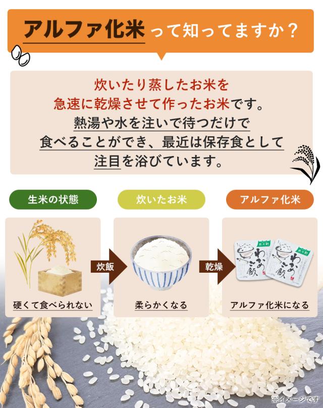 送料無料 アルファ化米 わかめご飯 50食セット