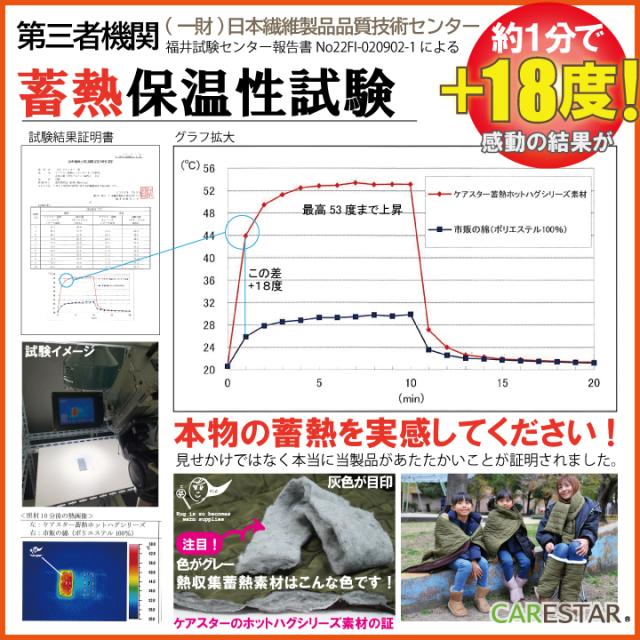 ホットハグ蓄熱ホルムアルデヒド試験CARESTAR