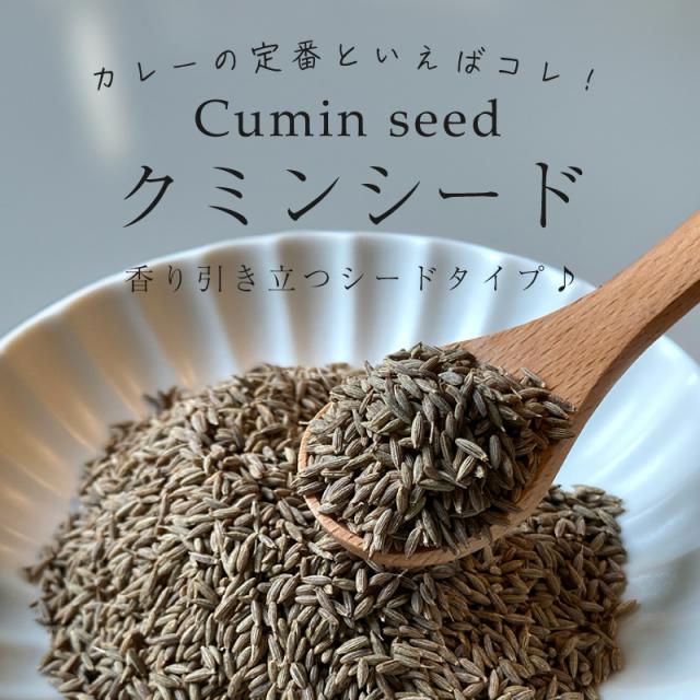 アウトドアスパイス