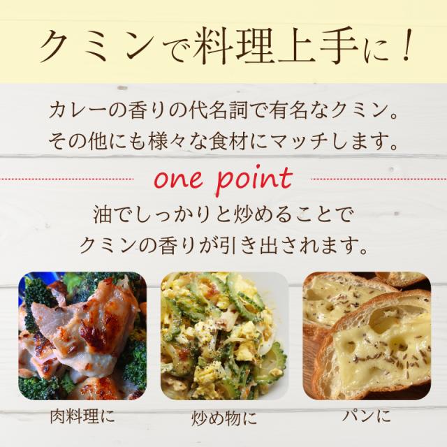 スパイスカレー