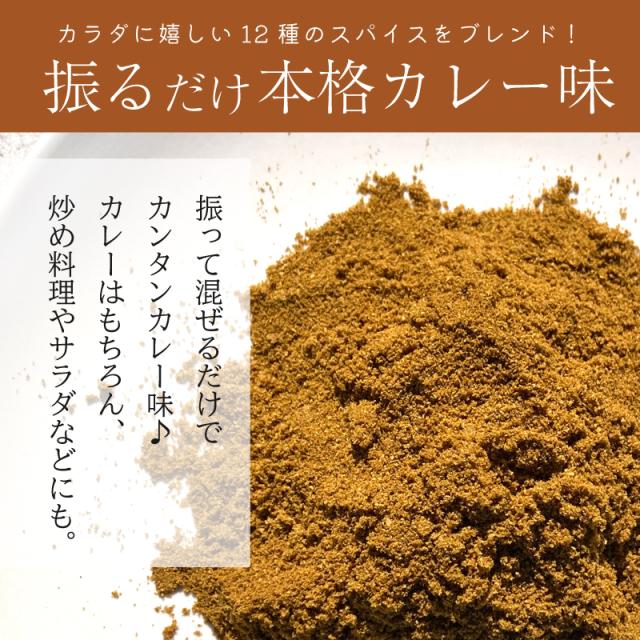 スパイスカレー