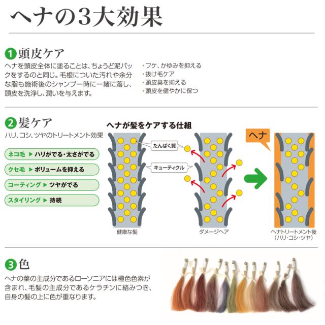 トリートメント