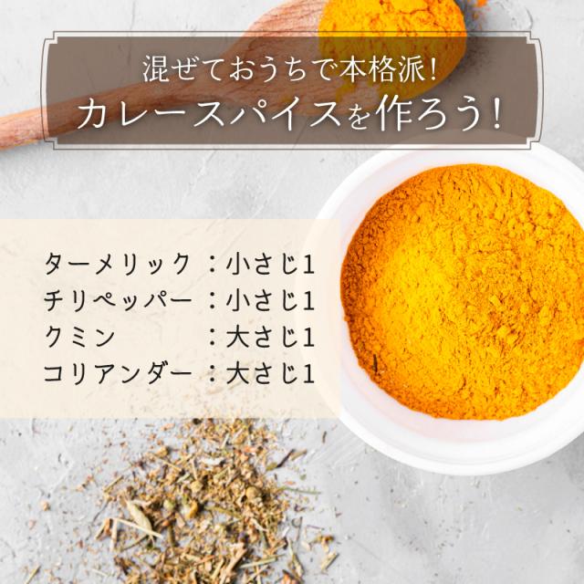 スパイスカレー