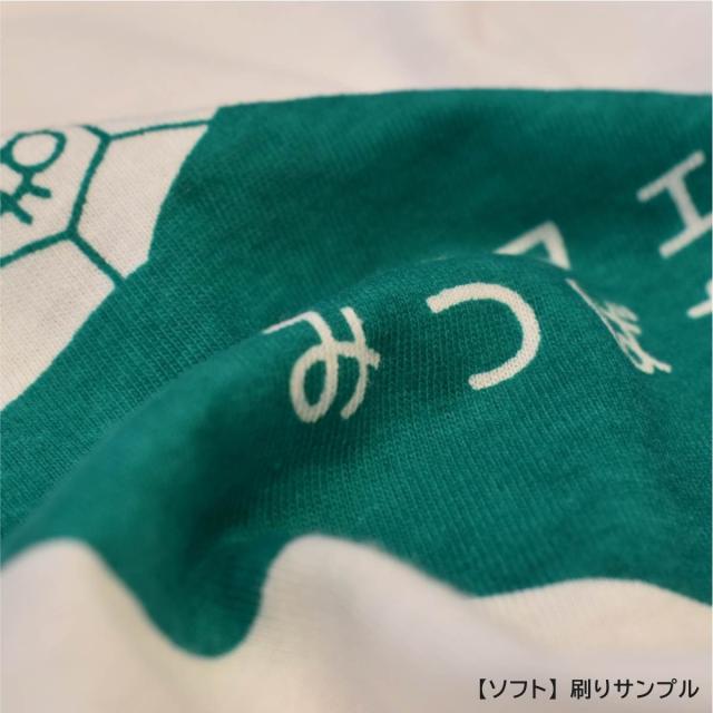 Tシャツくん シルクスクリーンプリント ホリゾン 太陽精機 ホリゾン Tシャツくんワイド製版機 シルクスクリーンプリント