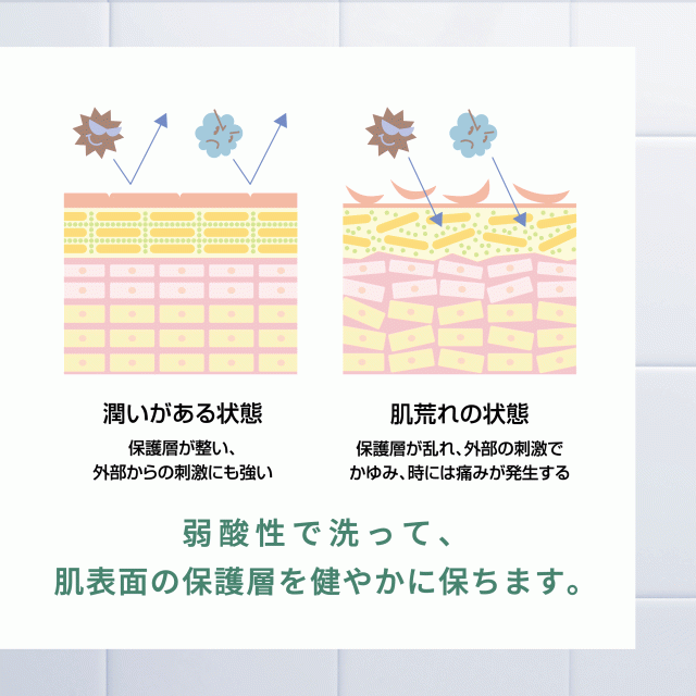 150円 送料無料 お試し サンプル フェミニンウォッシュ