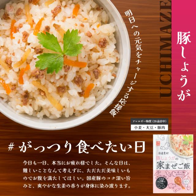 豚しょうが。がっつり食べたい日。明日への元気をチャージする応援飯。
