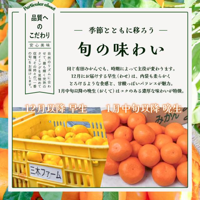 季節とともに移ろう、旬の味わい。12月にお届けする早生は、内袋も柔らかくとろけるような食感と甘酸っぱいバランスが魅力。1月中旬以降の晩生はコクのある濃厚な味わいが特徴。