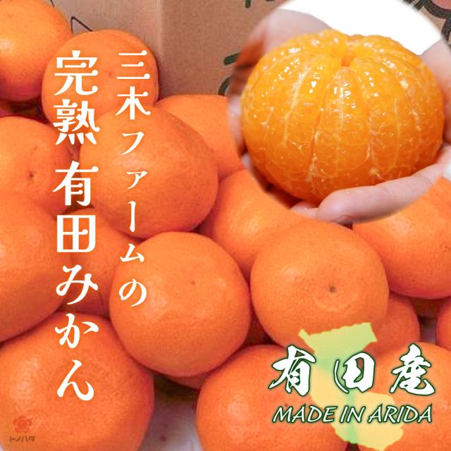 三木ファームの完熟有田みかん。有田産。MADE IN ARIDA。