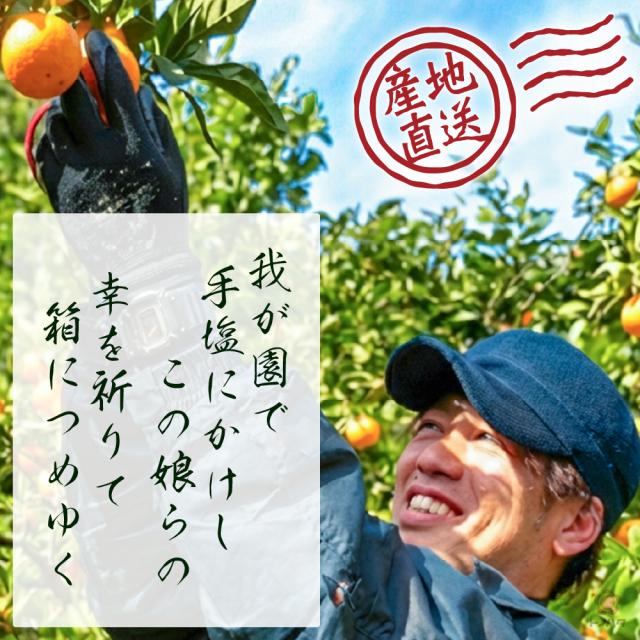 我が園で手塩にかけしこの娘らの、幸を祈りて箱につめゆく。産地直送。