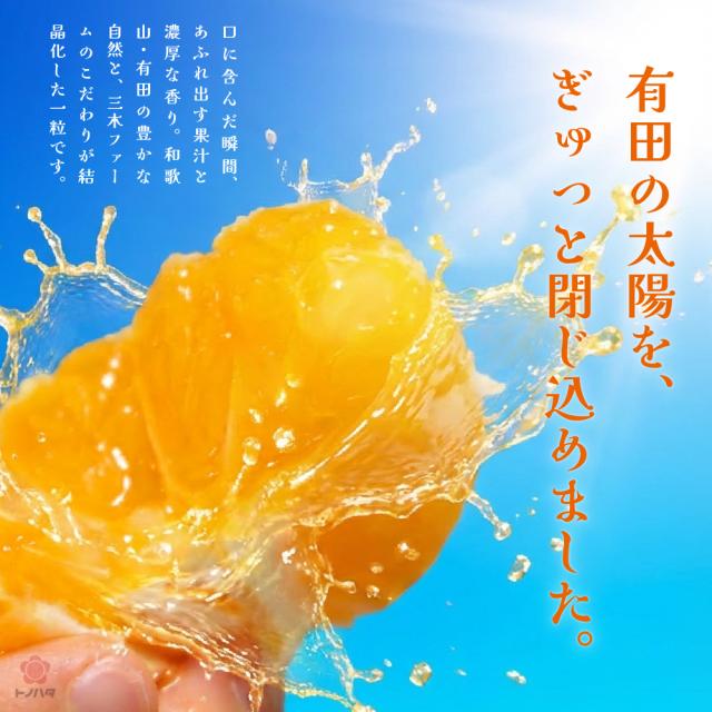 有田の太陽、ぎゅっと閉じ込めました。