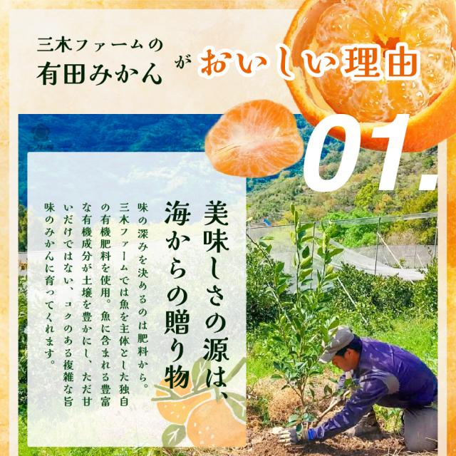 三木ファームの有田みかんがおいしい理由。01.美味しさの源は海からの贈り物。魚を主体とした独自の有機肥料を使用。