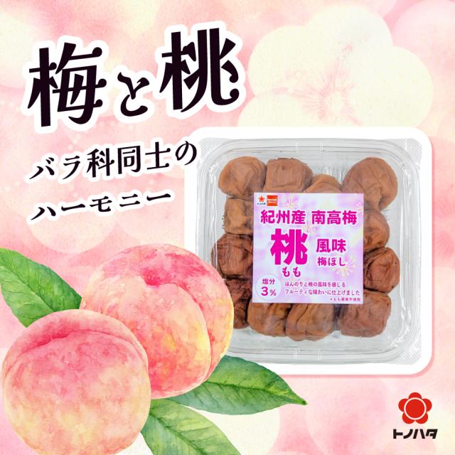 梅と桃。バラ科同士のハーモニー。