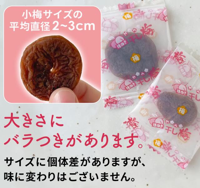 おつまみ 珍味 送料無料