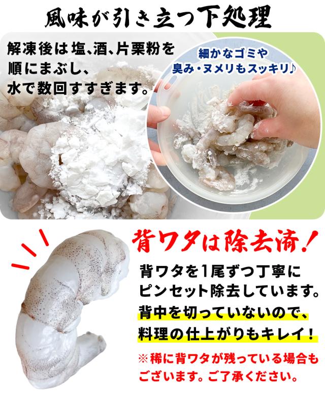 おつまみ 珍味 送料無料