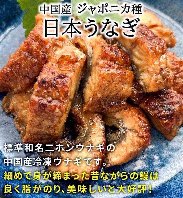 おつまみ　珍味　送料無料