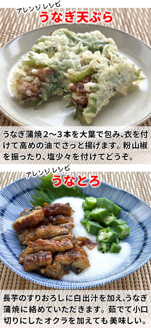おつまみ　珍味　送料無料