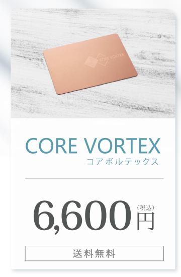 CORE VOLTEX2枚セット