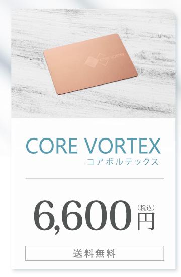 CORE VOLTEX2枚セット