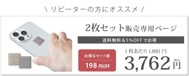 easy protector  Ash Tone 2枚セット