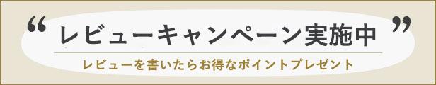 レビューキャンペーン