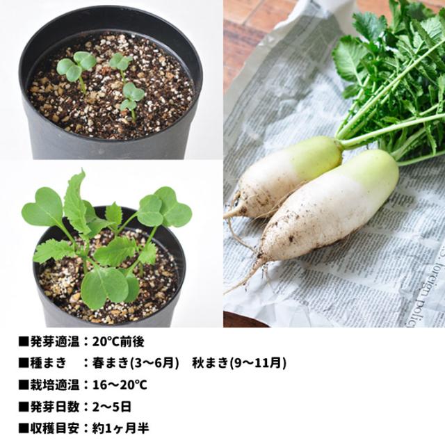 商品画像7