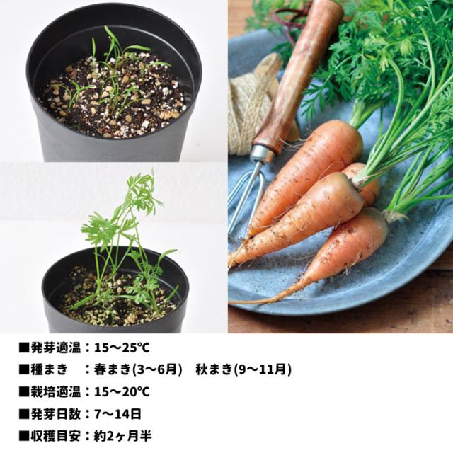 商品画像9