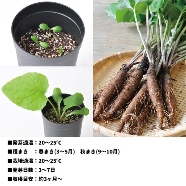 商品画像11