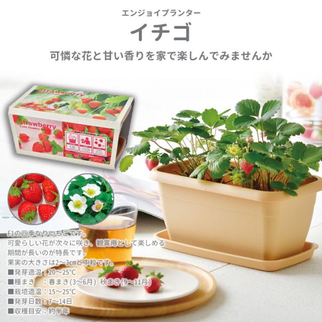 商品画像5