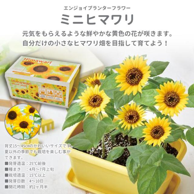 商品画像6