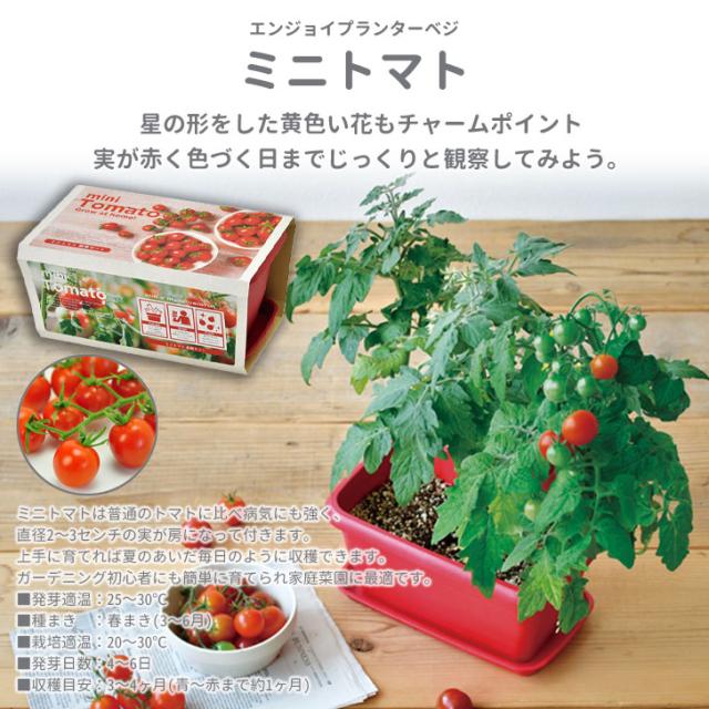 商品画像7