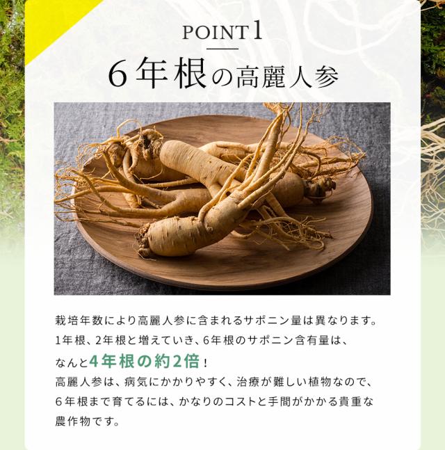 6年根の高麗人参
