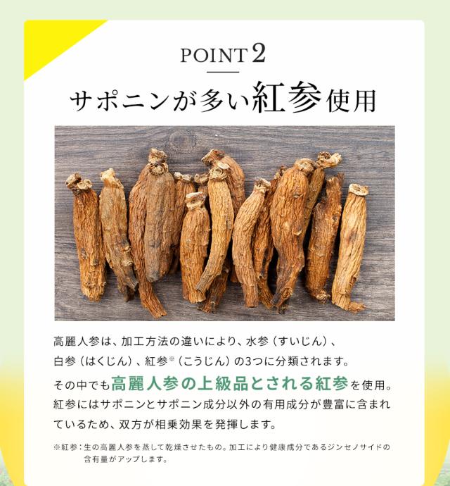 サポニンが多い紅参使用