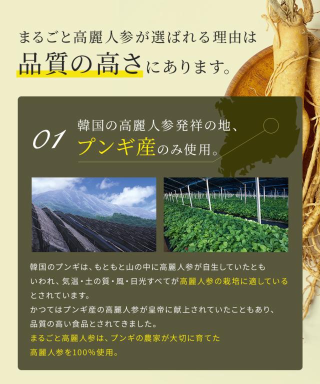 韓国の高麗人参発祥の地、プンギ産のみ使用