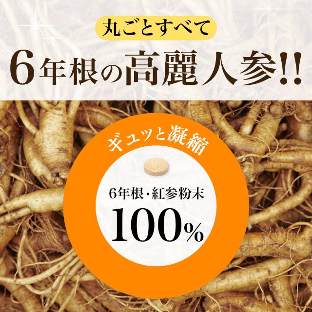 最高級・高麗紅参粉末100％！