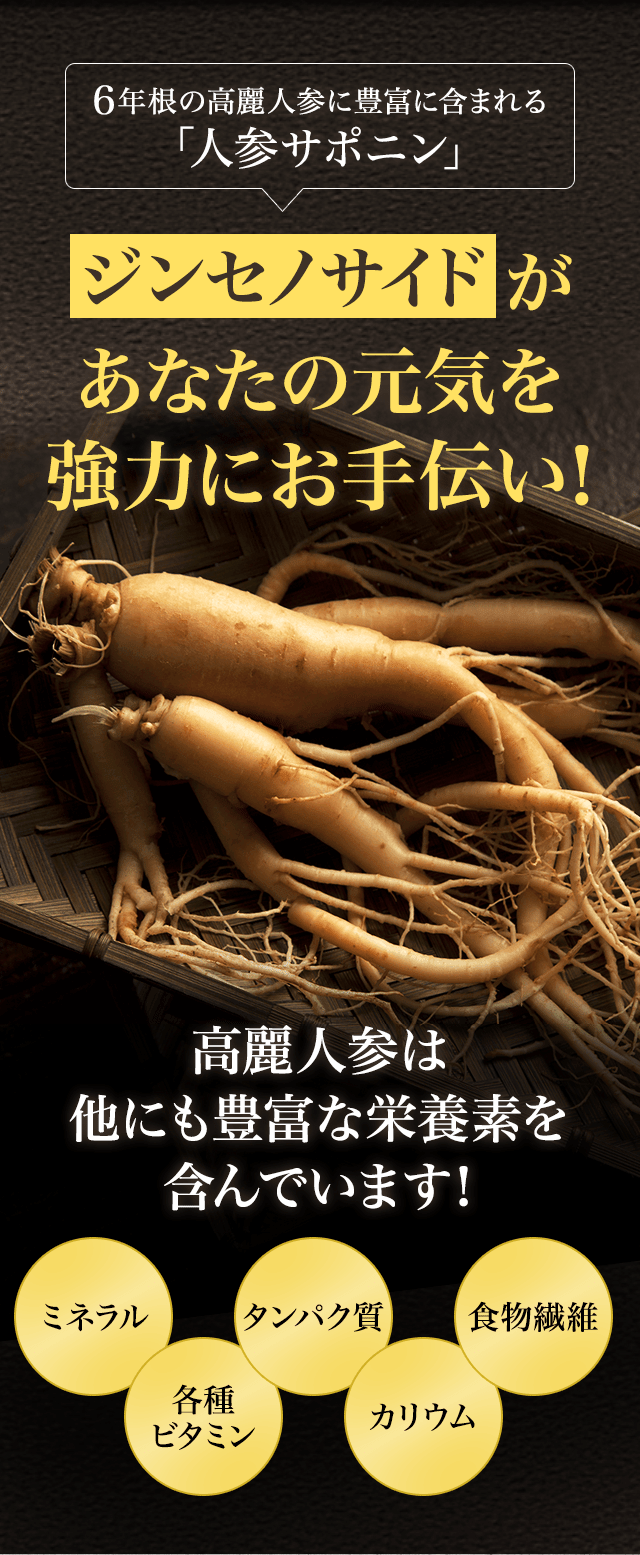 ジンセノサイドがあなたの元気を強力にお手伝い！