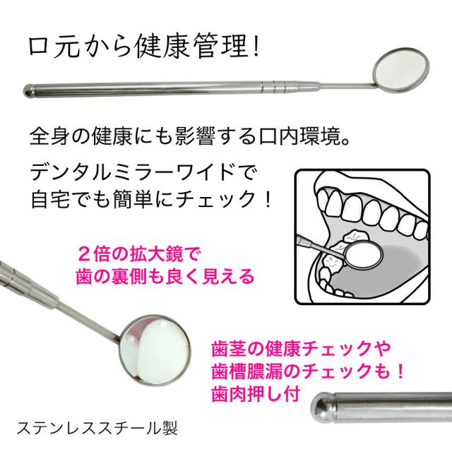 デンタルミラーワイド2倍拡大鏡CY-8
