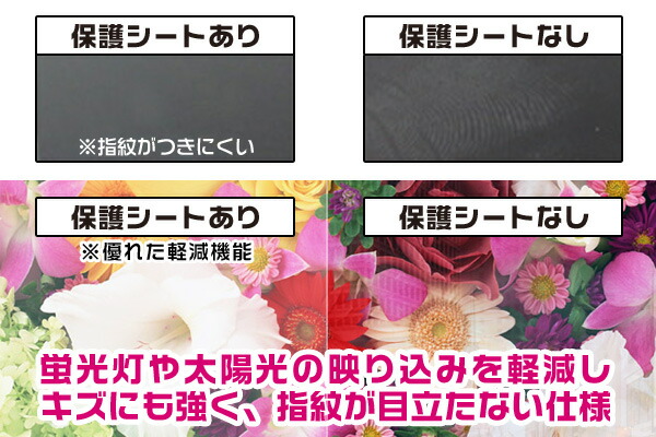 Hisense A6L 背面用保護シート