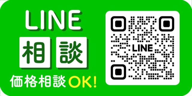 アヴィカ Avica LUANA -3 Aライン ウェディングドレス ベージュ ファーストオーナー Aライン レース