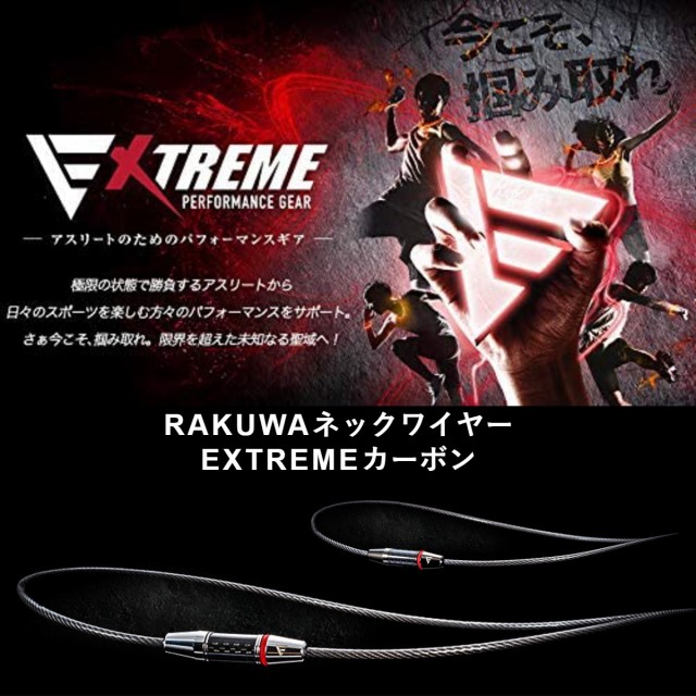 あす着】ファイテン ネックレス RAKUWAネック ワイヤー EXTREME