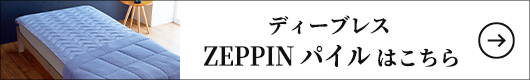 ディーブレス ZEPPIN パイル