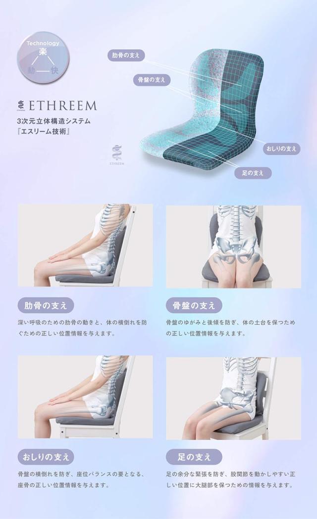 ピーエーエス p!nto（ピント）W 姿勢サポートクッション