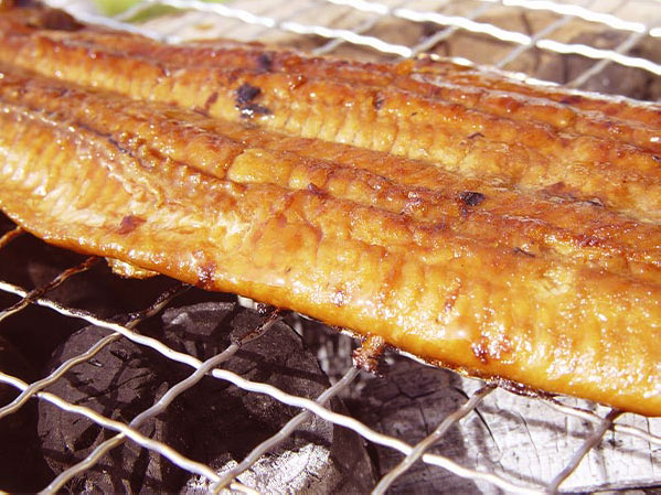 四万十味紀行 高知 「四万十味紀行」 高知県産うなぎ蒲焼カット 632-3 1セット：蒲焼カット70g×3、たれ15ml×3