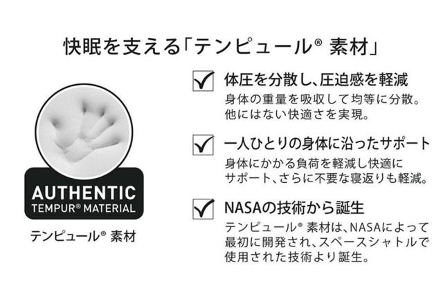 テンピュール マルマルクッション