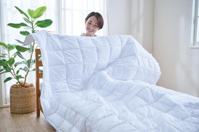 ディーブレス PRIMALOFT The Pillow43