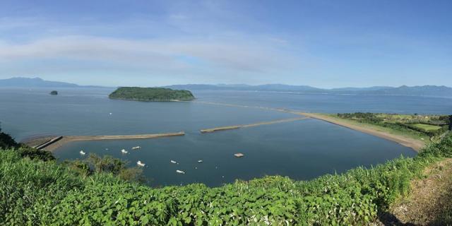 大新 鹿児島県産 こだわりうなぎ蒲焼 カット 10袋 1セット