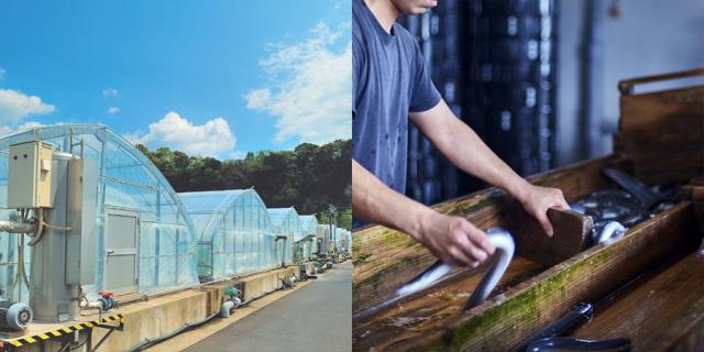 大新 鹿児島県産 こだわりうなぎ蒲焼 カット 10袋 1セット